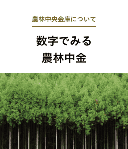 農林中央金庫について 数字でみる農林中金